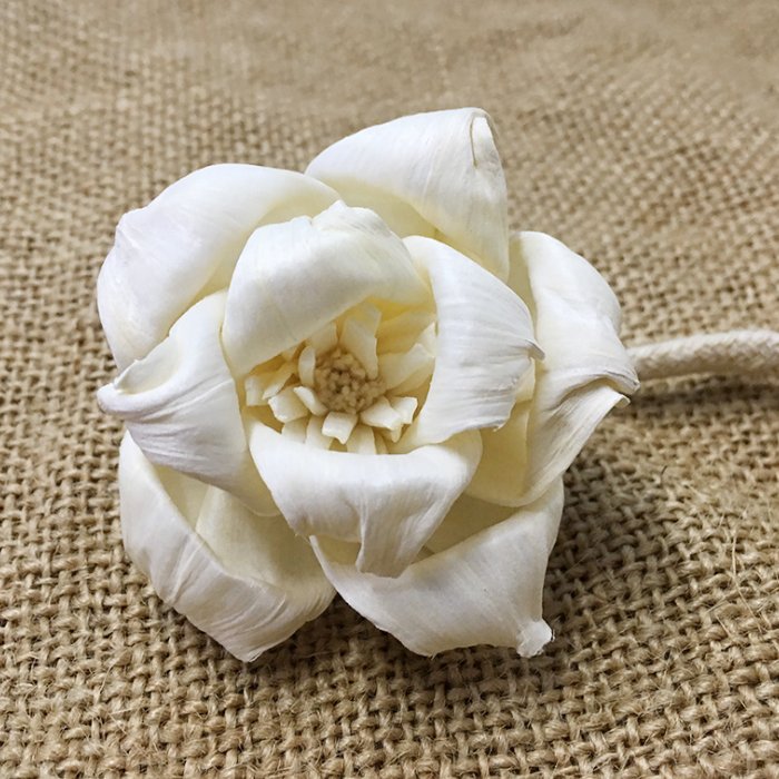 SN010 Factory wholesale dried flower rose 5cm round curling sola wood flower for indoor decoration