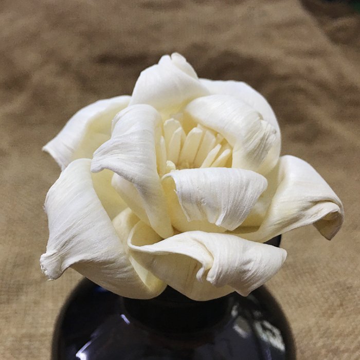 SN010 Factory wholesale dried flower rose 5cm round curling sola wood flower for indoor decoration