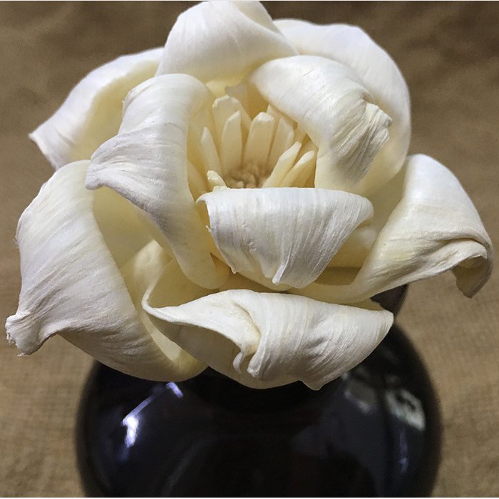 SN010 Factory wholesale dried flower rose 5cm round curling sola wood flower for indoor decoration