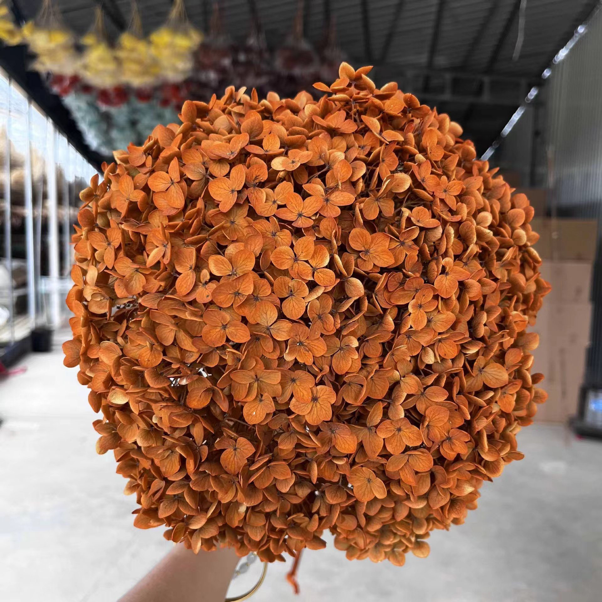 Factory supply high quality high large hydrangea flower color absorption preserved hydrangea for wedding home decoration