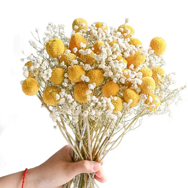 Dried Natural Mini Small Pineapple Happy Flower,1cm Daisy Flower,Home Decor,Floral Arrangement