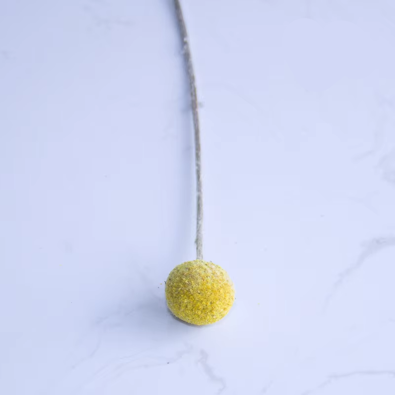 Dried Natural Mini Small Pineapple Happy Flower,1cm Daisy Flower,Home Decor,Floral Arrangement