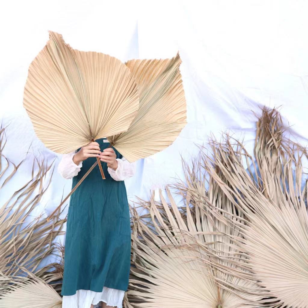 Top Sale Wholesale Dried Flowers Large Dried Natural Palm Leaves for Decoration