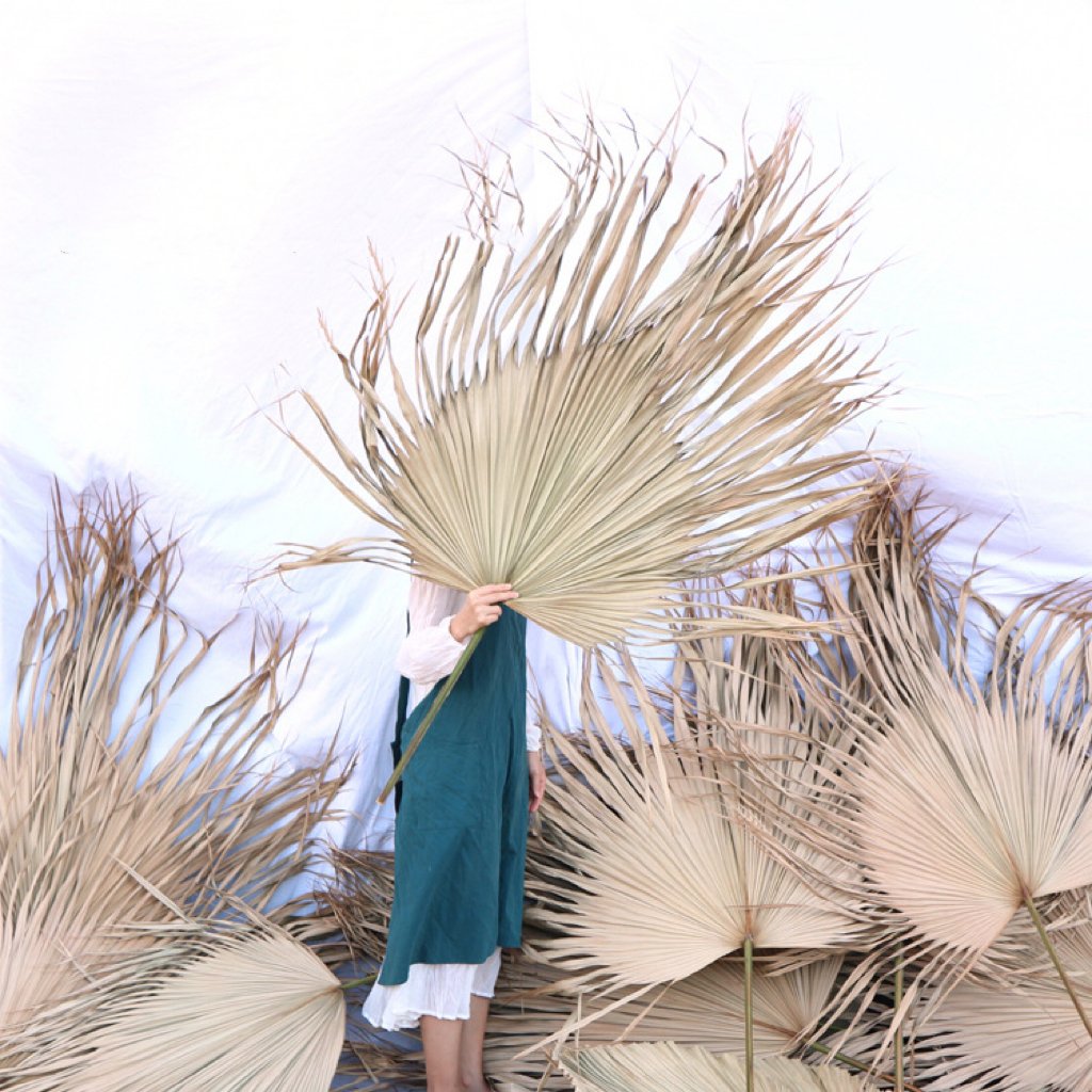 Top Sale Wholesale Dried Flowers Large Dried Natural Palm Leaves for Decoration