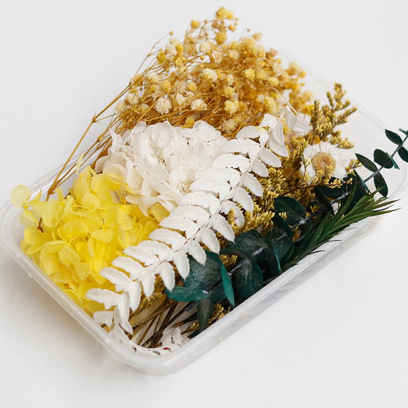 Manufacturer Natural Floating flower Preserved Flower Material Box for hand-made DIY Material