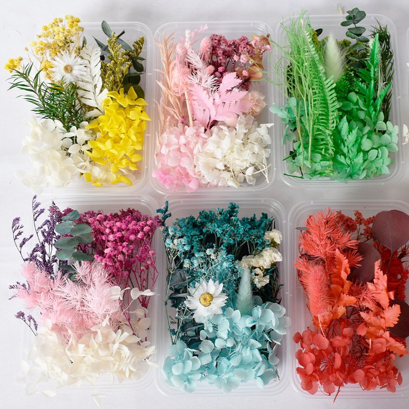 Manufacturer Natural Floating flower Preserved Flower Material Box for hand-made DIY Material