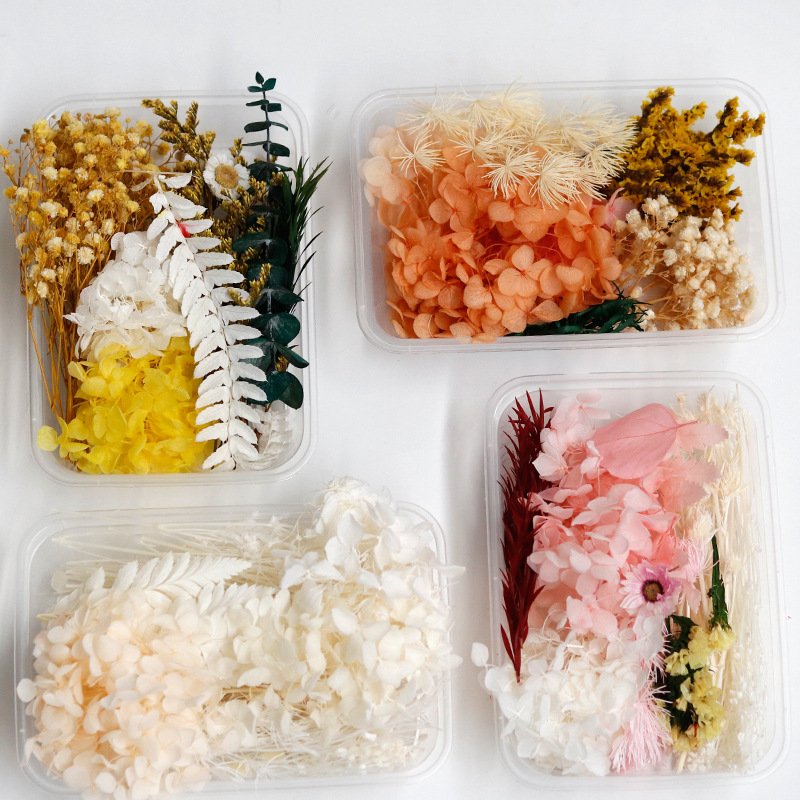 Manufacturer Natural Floating flower Preserved Flower Material Box for hand-made DIY Material