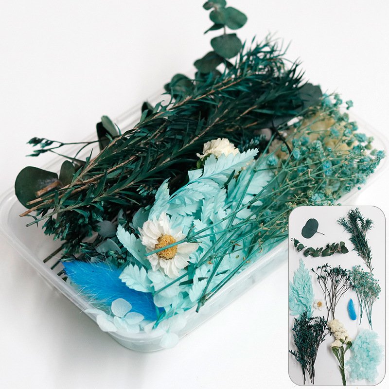 Manufacturer Natural Floating flower Preserved Flower Material Box for hand-made DIY Material