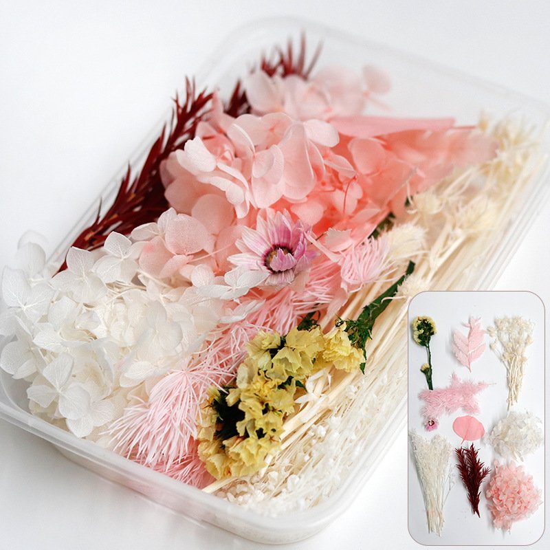 Manufacturer Natural Floating flower Preserved Flower Material Box for hand-made DIY Material