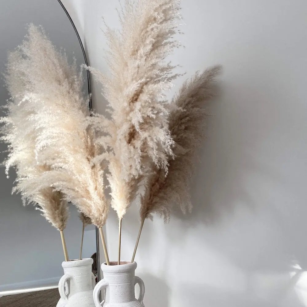 large decorative fluffy tall black dried flower short faux pompas grass decor pampas grass for party decorations pampas flowers