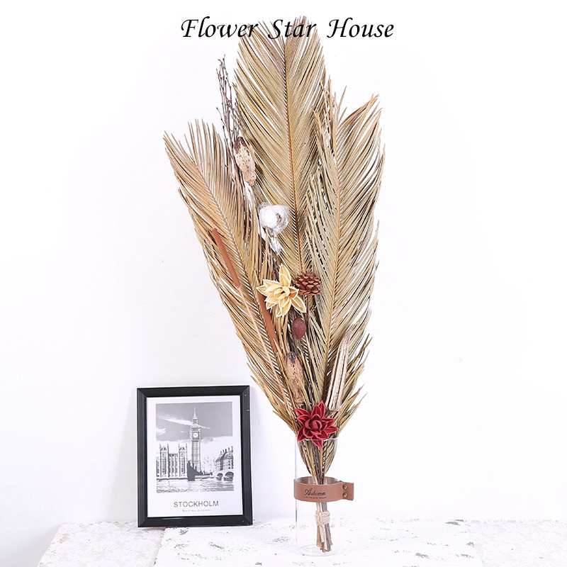 INS Hot Selling DIY Natural Preserved Cycas Sago Palm Tree Leaves Real Dried Flower Folium Wedding Christmas Decorations