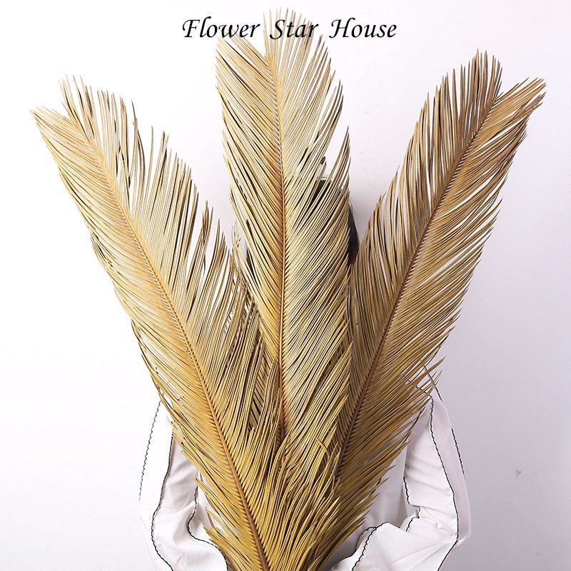 INS Hot Selling DIY Natural Preserved Cycas Sago Palm Tree Leaves Real Dried Flower Folium Wedding Christmas Decorations