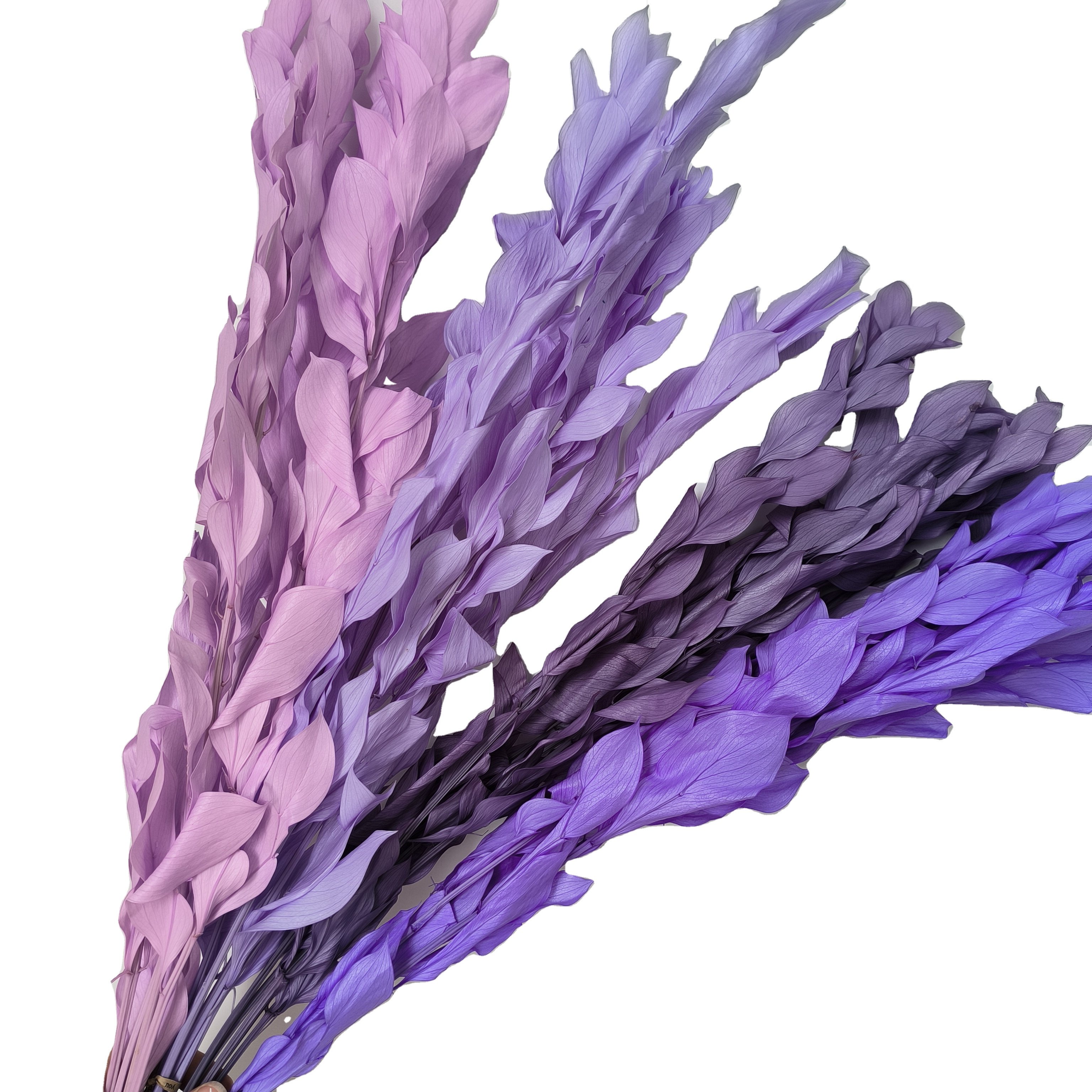 wedding decoration dried flower plants lily bamboo israeli ruscus foliage branches leaves italian ruscus stems preserved ruscus