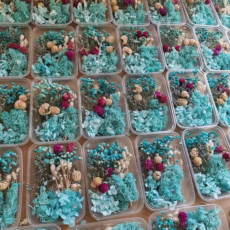 I76 Dried Flower for Resin Aromatherapy Candle DIY Material Eternal Dry Flower Combination Pack Decorative