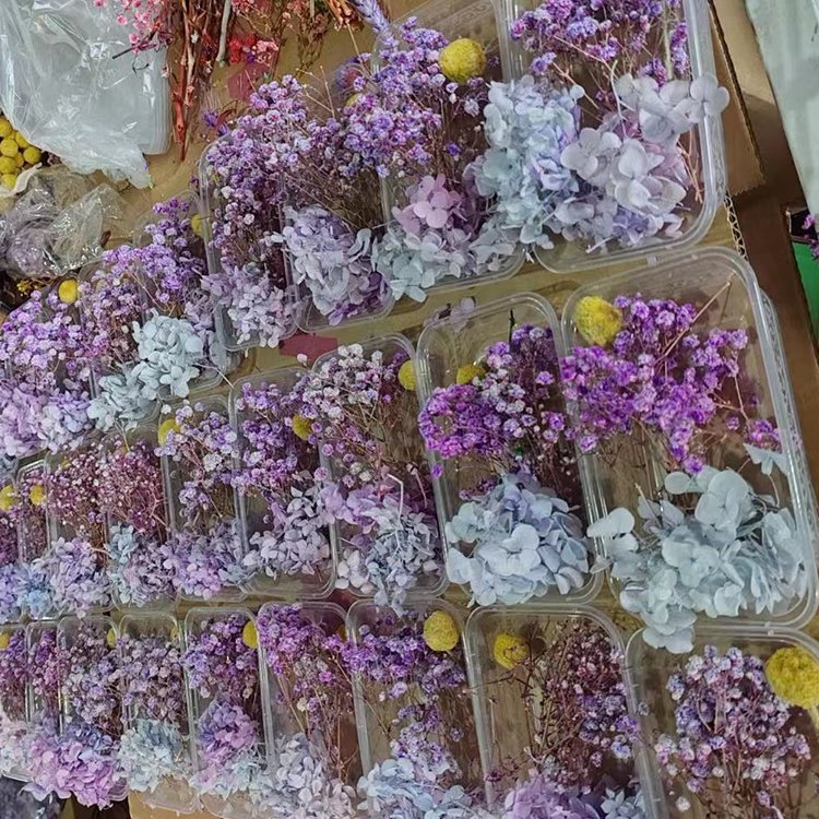 I76 Dried Flower for Resin Aromatherapy Candle DIY Material Eternal Dry Flower Combination Pack Decorative
