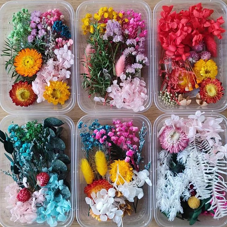 I76 Dried Flower for Resin Aromatherapy Candle DIY Material Eternal Dry Flower Combination Pack Decorative