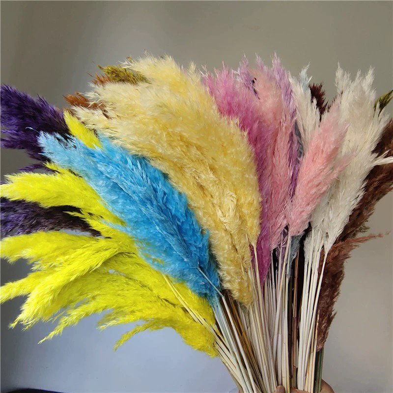 White Color Tall Large Pompas Grass Boho Neutral Home Decor Bouquet Fluffy Plant for Floor Vase Wedding Floral Table Decor