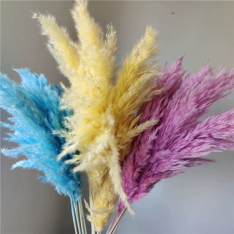 White Color Tall Large Pompas Grass Boho Neutral Home Decor Bouquet Fluffy Plant for Floor Vase Wedding Floral Table Decor