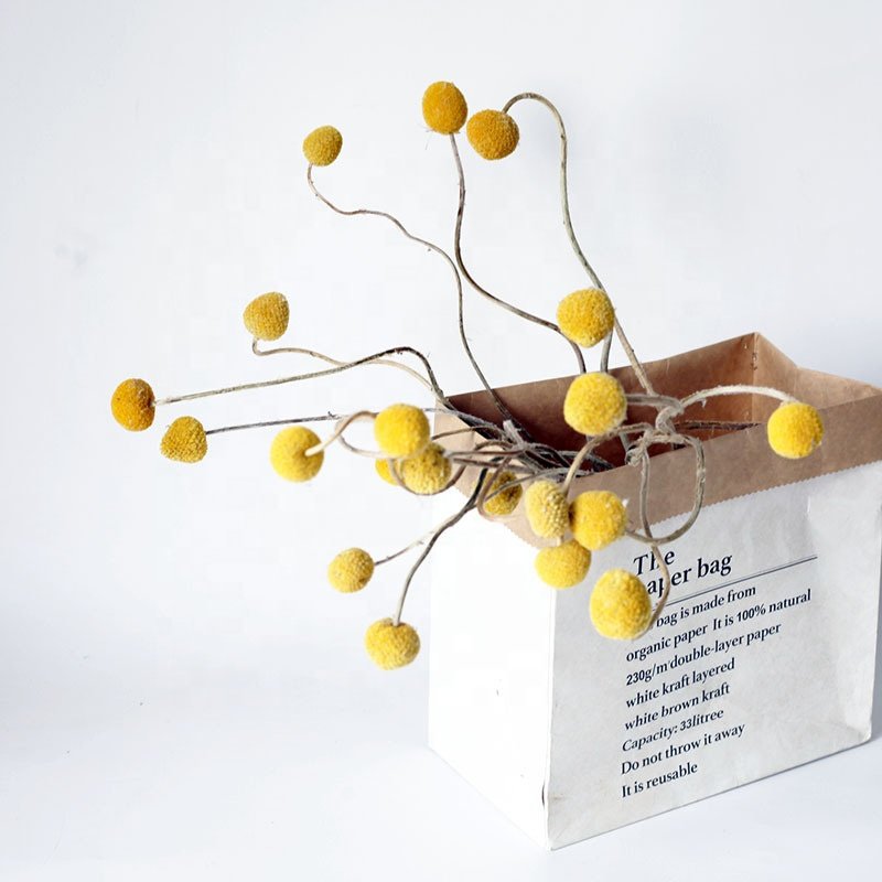 Awesome golden ball for vintage home decor wholesale beautiful wedding dried flowers craspedia billy balls
