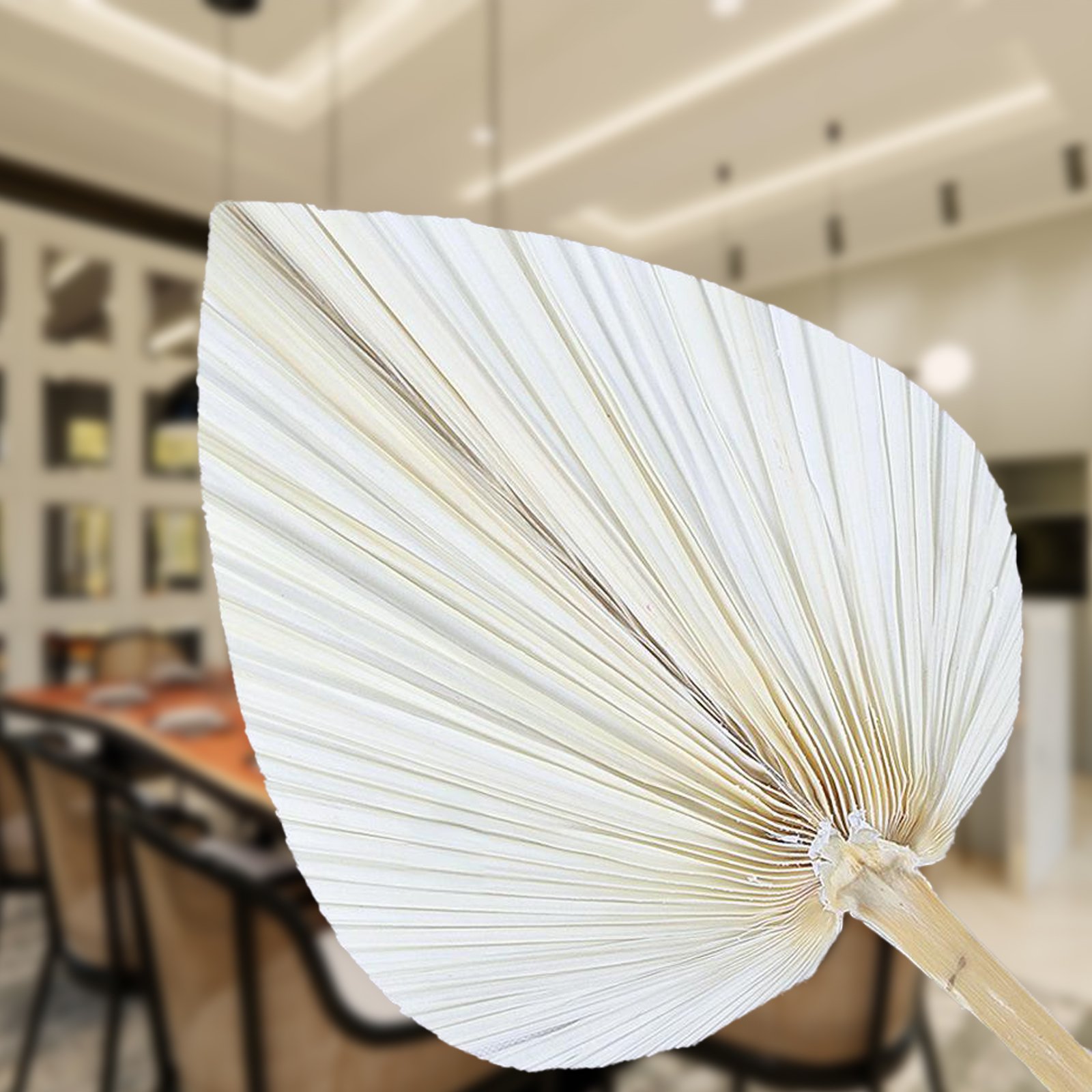 Hot-selling Colourful Natural Dried Palm Leaves Decor Boho Palm Fans Tropical Palm Flowers for Wedding House Party Kitchen Decor