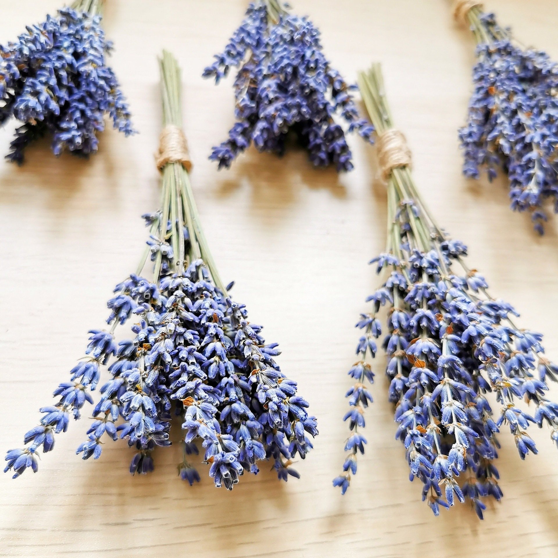 Lavender small bouquet, natural dried flowers, eternal flowers, cross-border hot selling photo props DIY