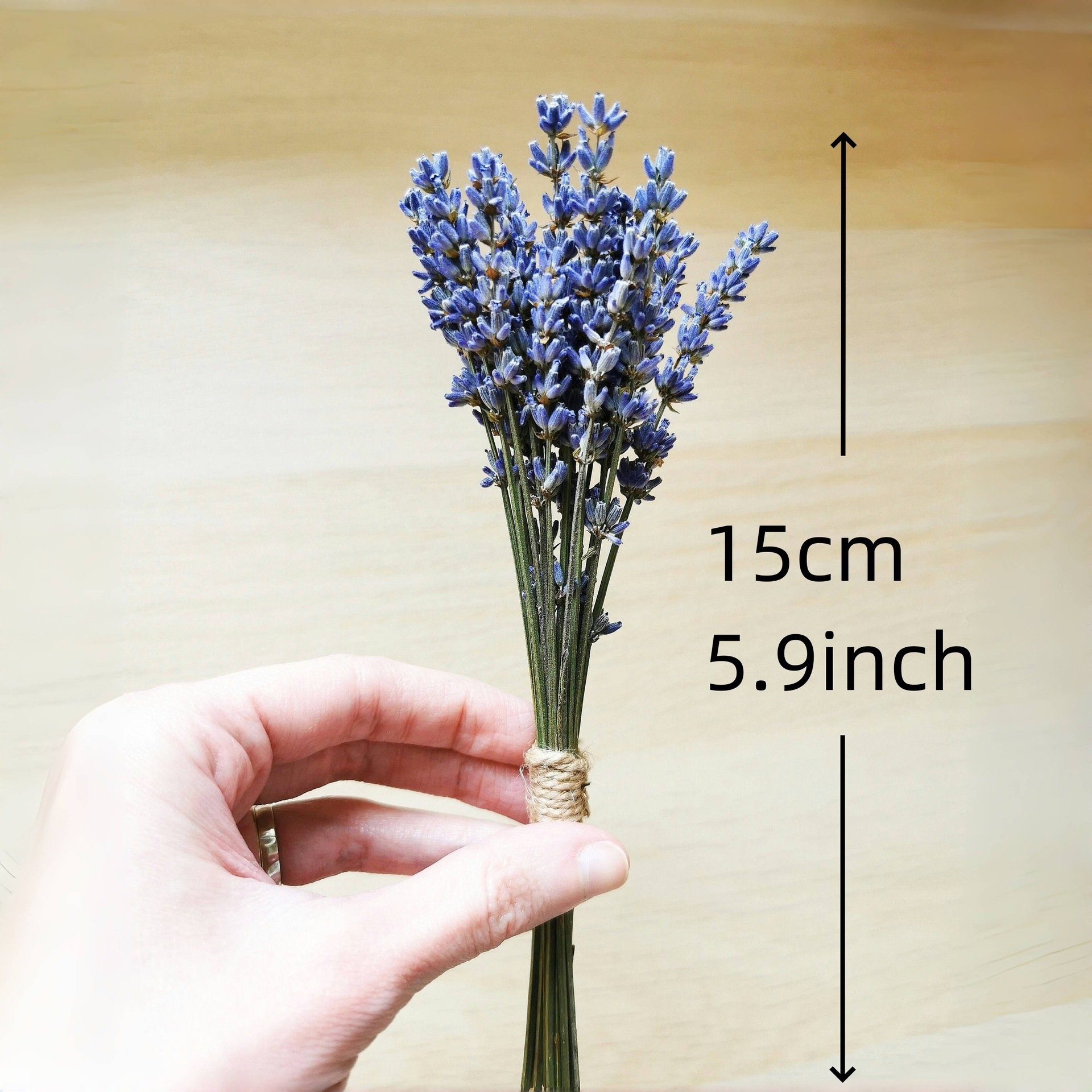 Lavender small bouquet, natural dried flowers, eternal flowers, cross-border hot selling photo props DIY