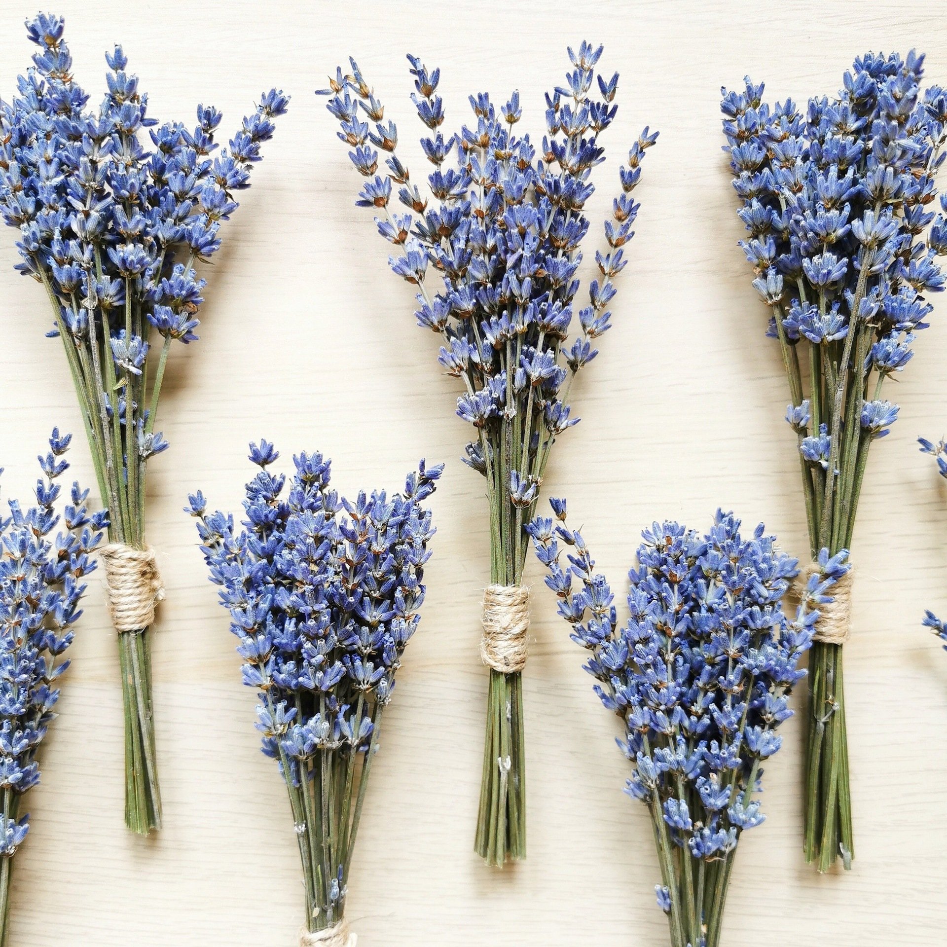 Lavender small bouquet, natural dried flowers, eternal flowers, cross-border hot selling photo props DIY