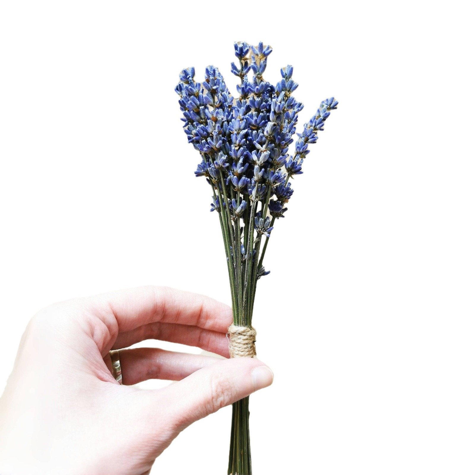 Lavender small bouquet, natural dried flowers, eternal flowers, cross-border hot selling photo props DIY