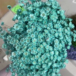 C1