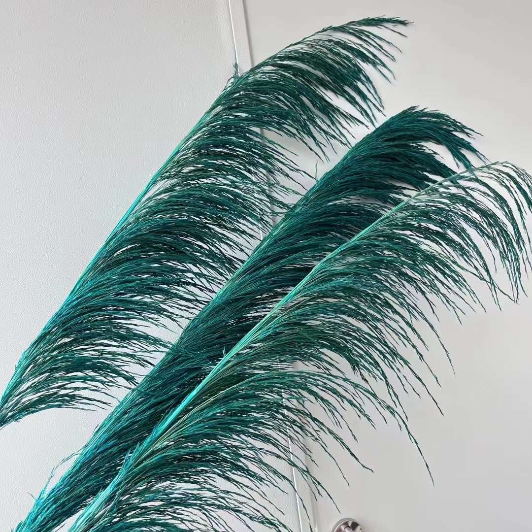 Dried Tall Pampas Natural Dried Decorative Pampas Grass Colorful Long Fluffy Reed Dried Brown Pampas Grass For Home Decor