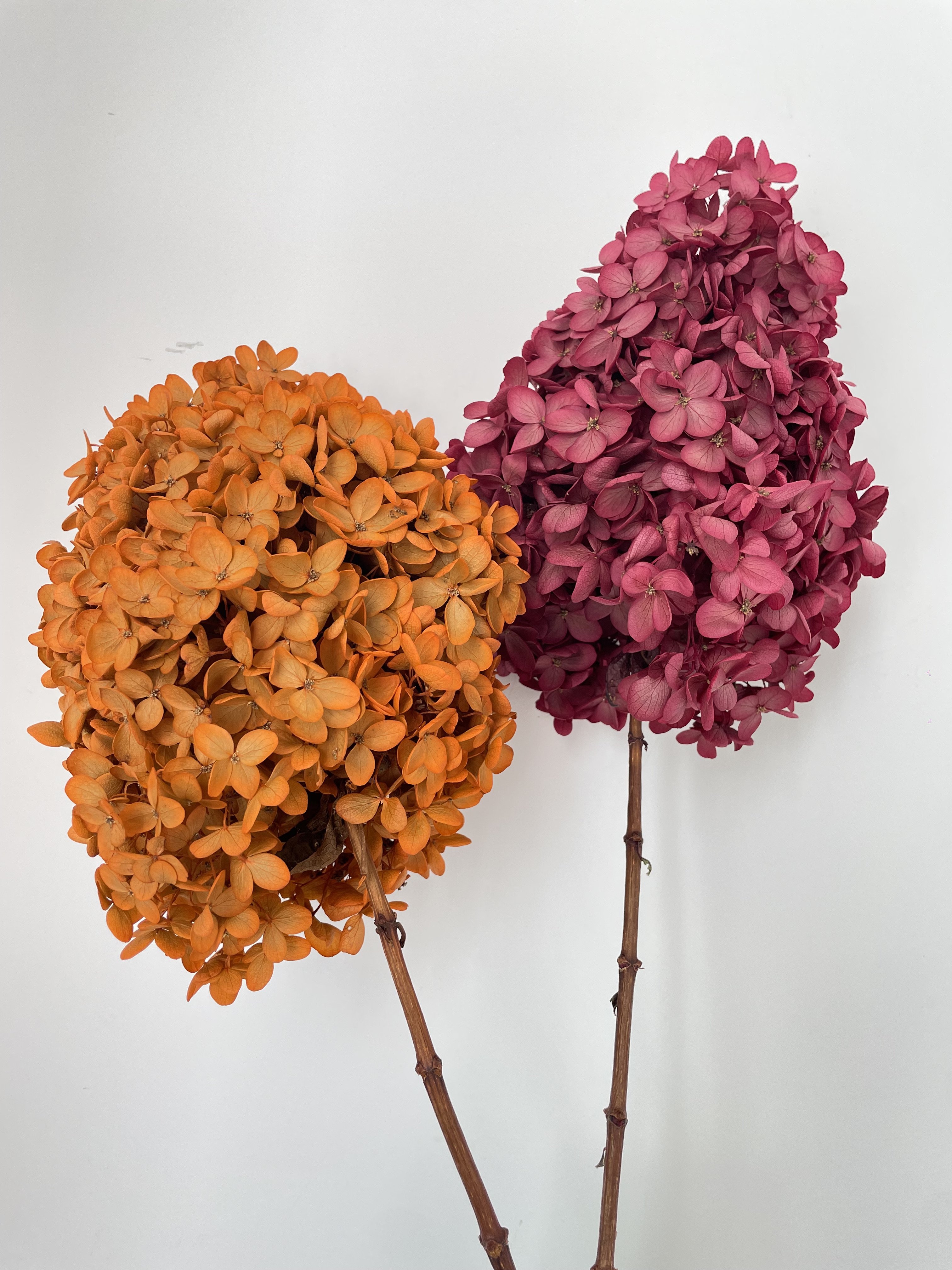 big bunch vintage wood hydrangea bouquet dried flower preserved orange tower stabilized dry flowers hydrangea for wedding decor