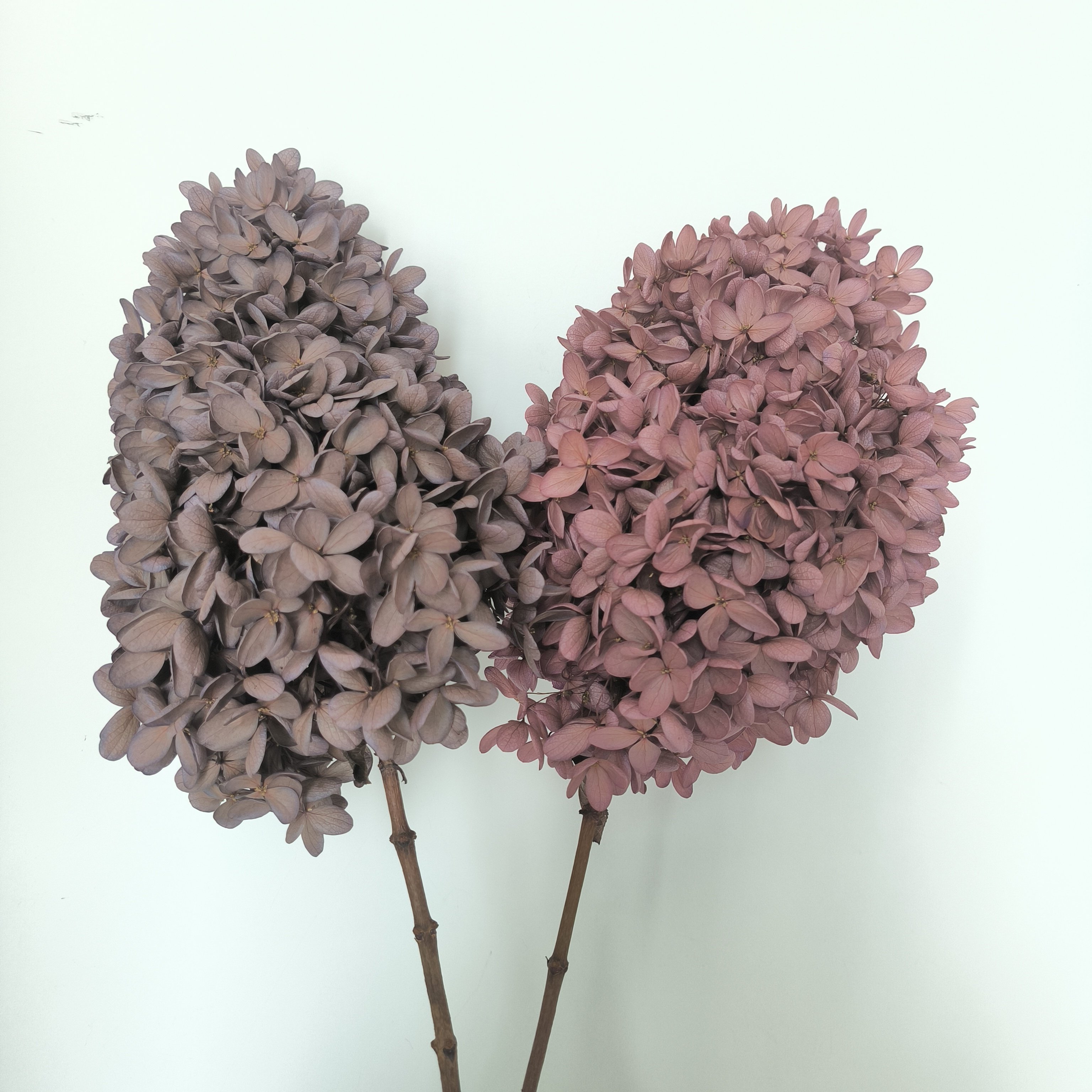 big bunch vintage wood hydrangea bouquet dried flower preserved orange tower stabilized dry flowers hydrangea for wedding decor
