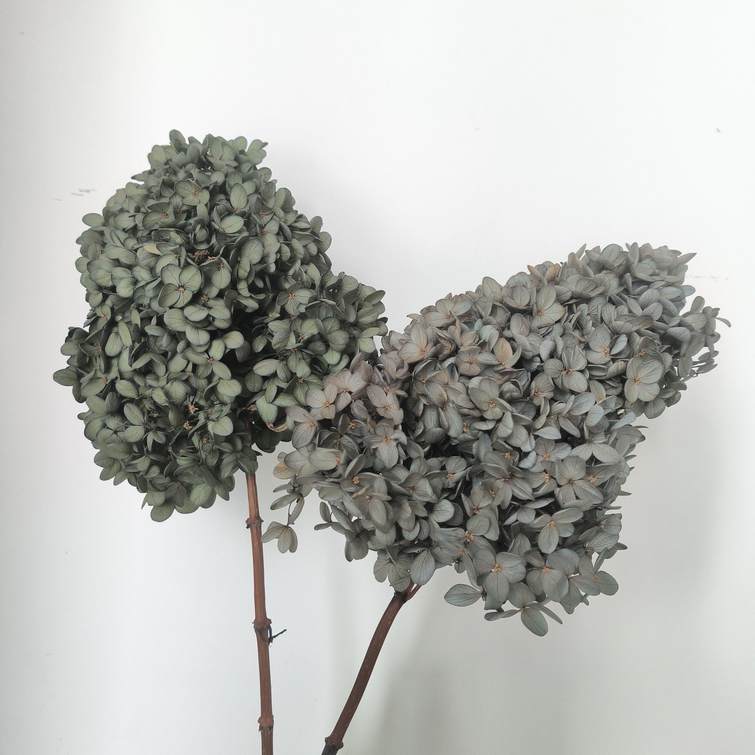 big bunch vintage wood hydrangea bouquet dried flower preserved orange tower stabilized dry flowers hydrangea for wedding decor