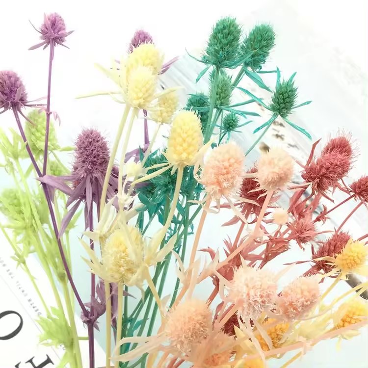 Natural Dried Flowers Valentine fruit Preserved Thistle Eryngium Sea Holly Grass for Valentine's Day bouquets and home decor