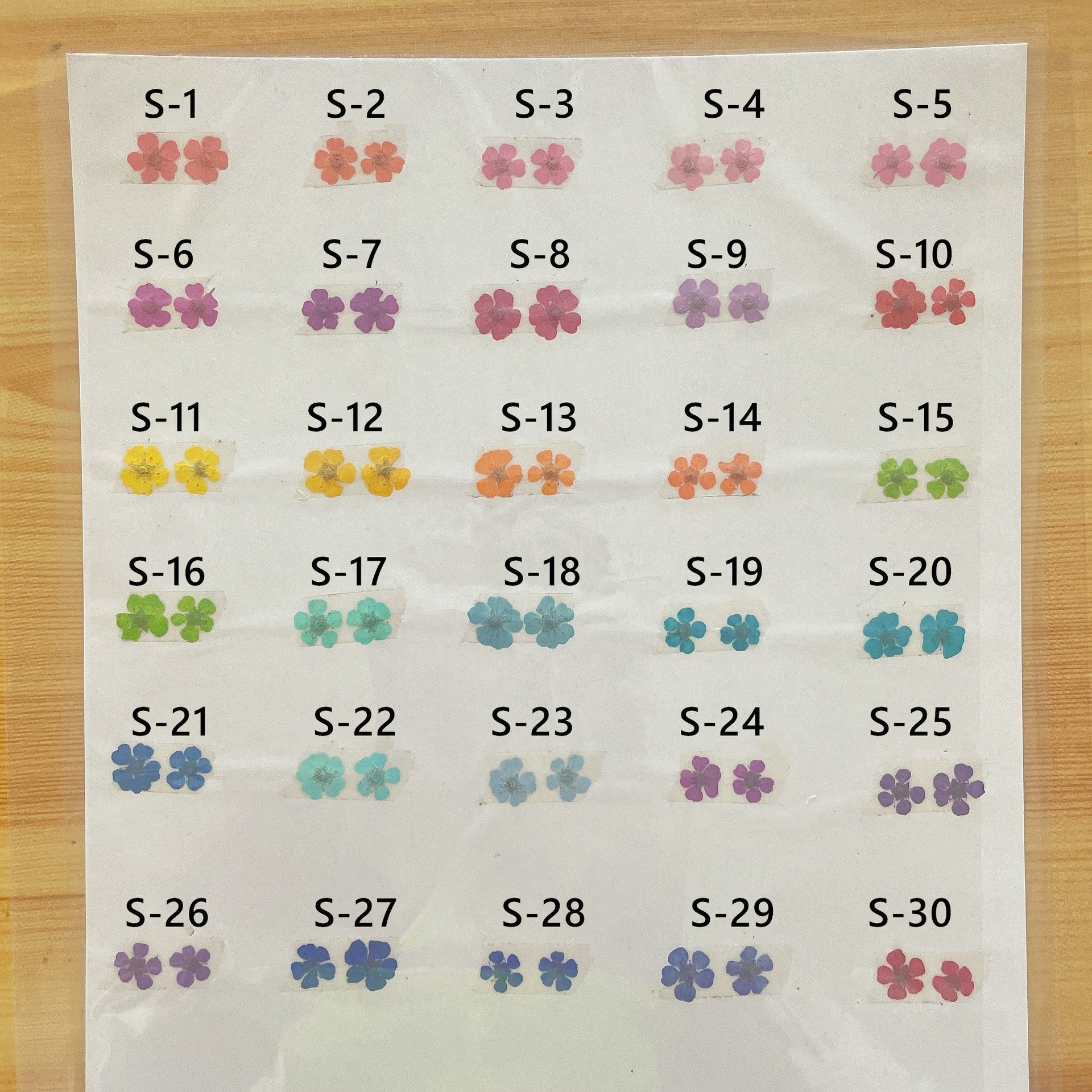 2000pcs/bag False Spiraea Five Star Flower Hot Sale Nail Art Pressed Dry Flower Nature Dried Flowers