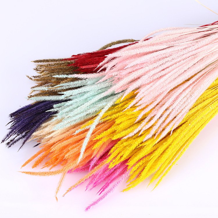 2024 New Product Ideas Home Decor Natural Dried Flower Goldenrod Flower