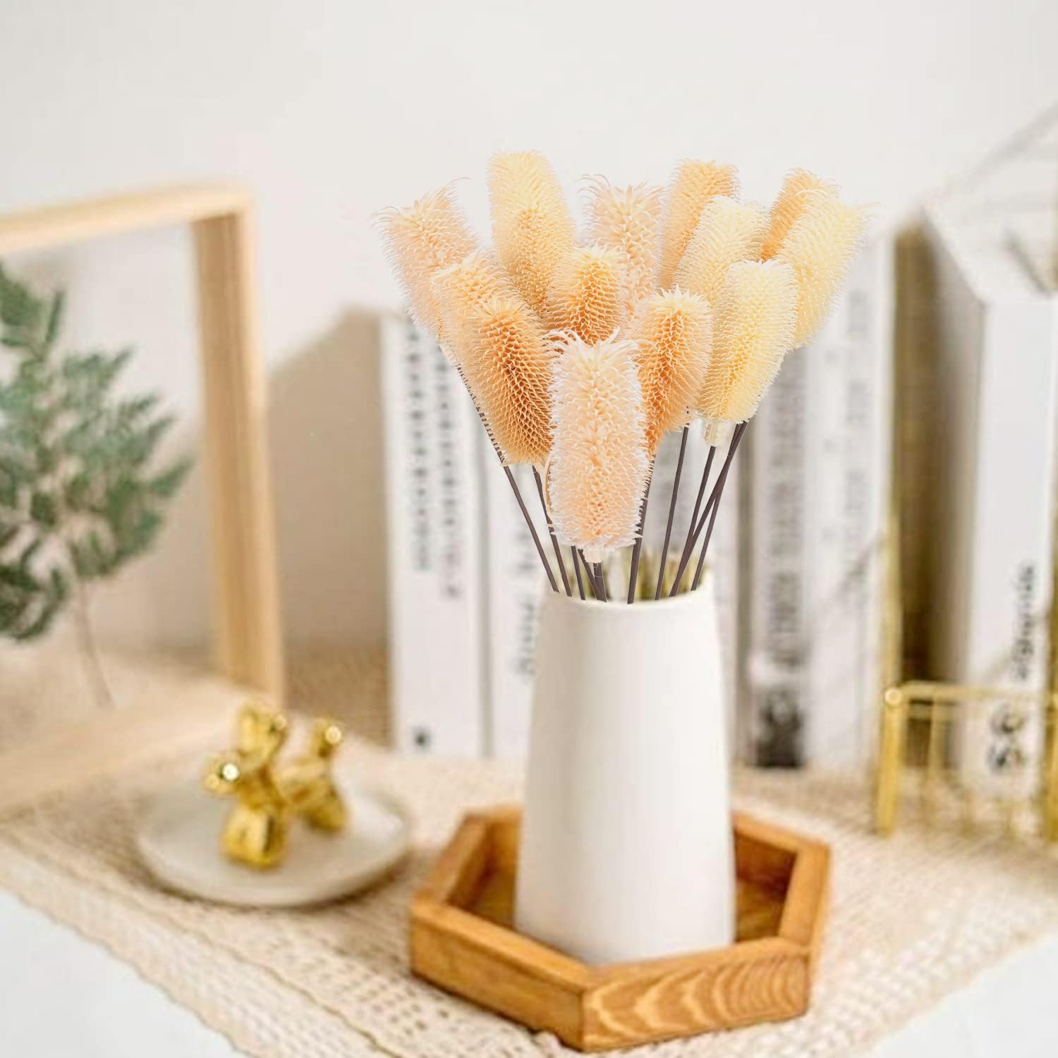 L -1 Natural Dried Flower Decoration Dipsacus Sativus White Photography Vase Home Desktop Decoration Flower Flower