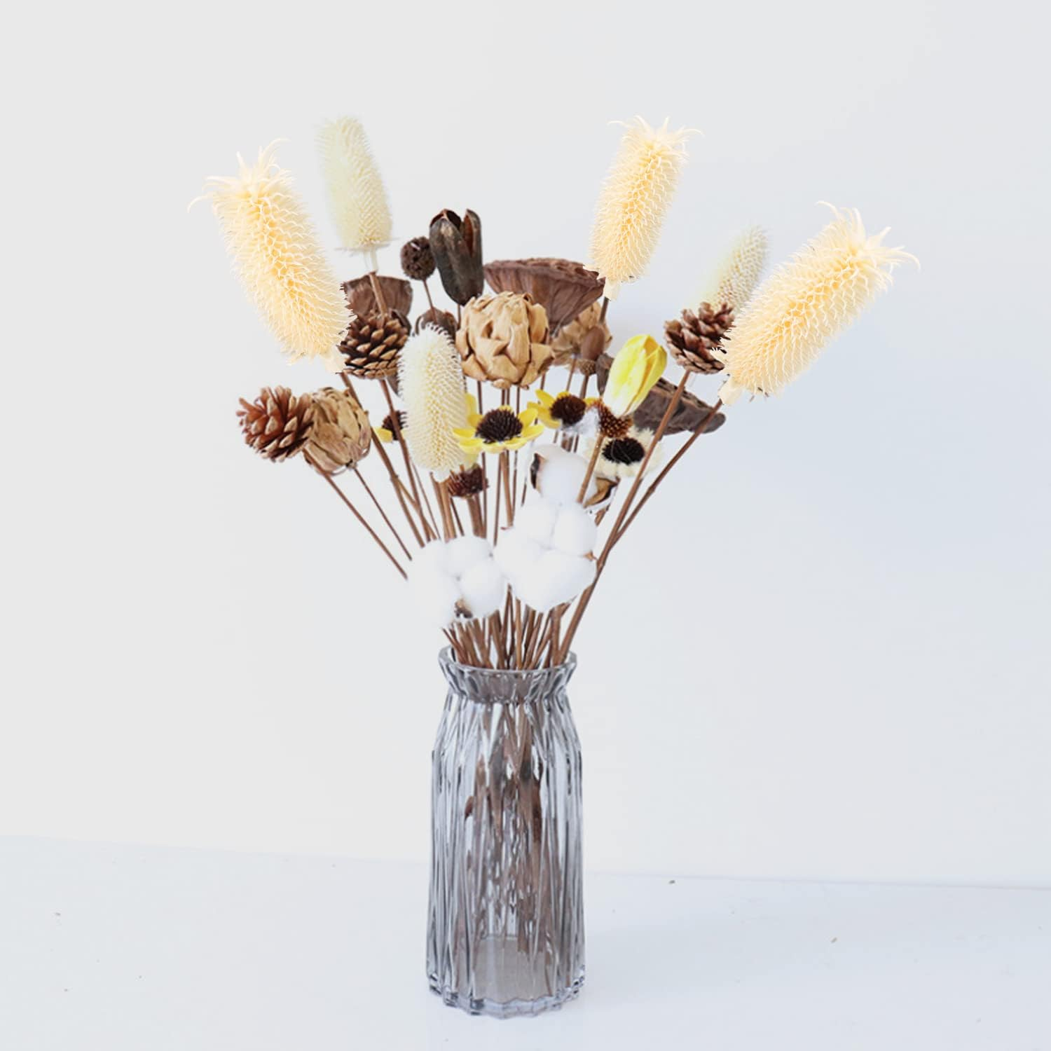 L -1 Natural Dried Flower Decoration Dipsacus Sativus White Photography Vase Home Desktop Decoration Flower Flower