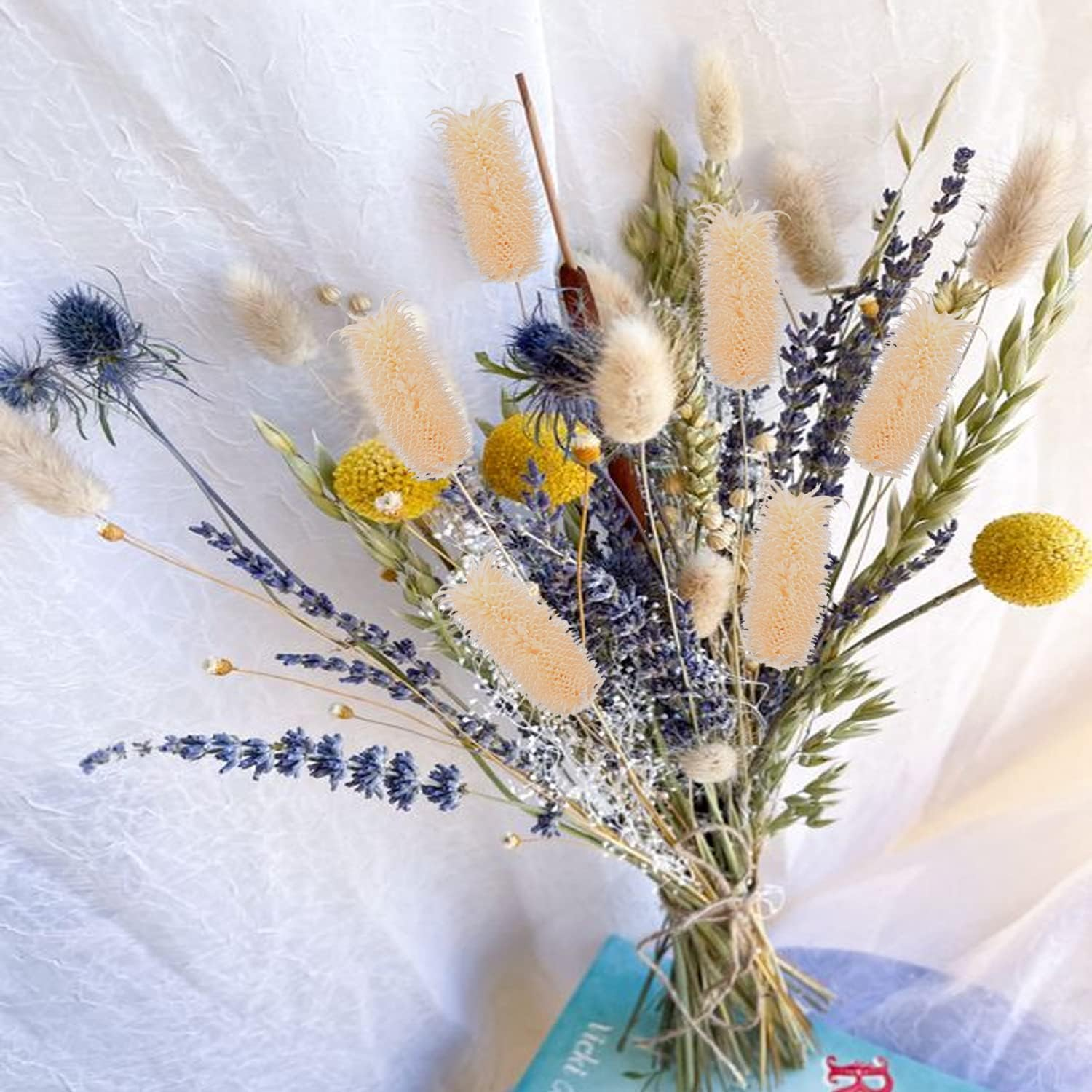 L -1 Natural Dried Flower Decoration Dipsacus Sativus White Photography Vase Home Desktop Decoration Flower Flower