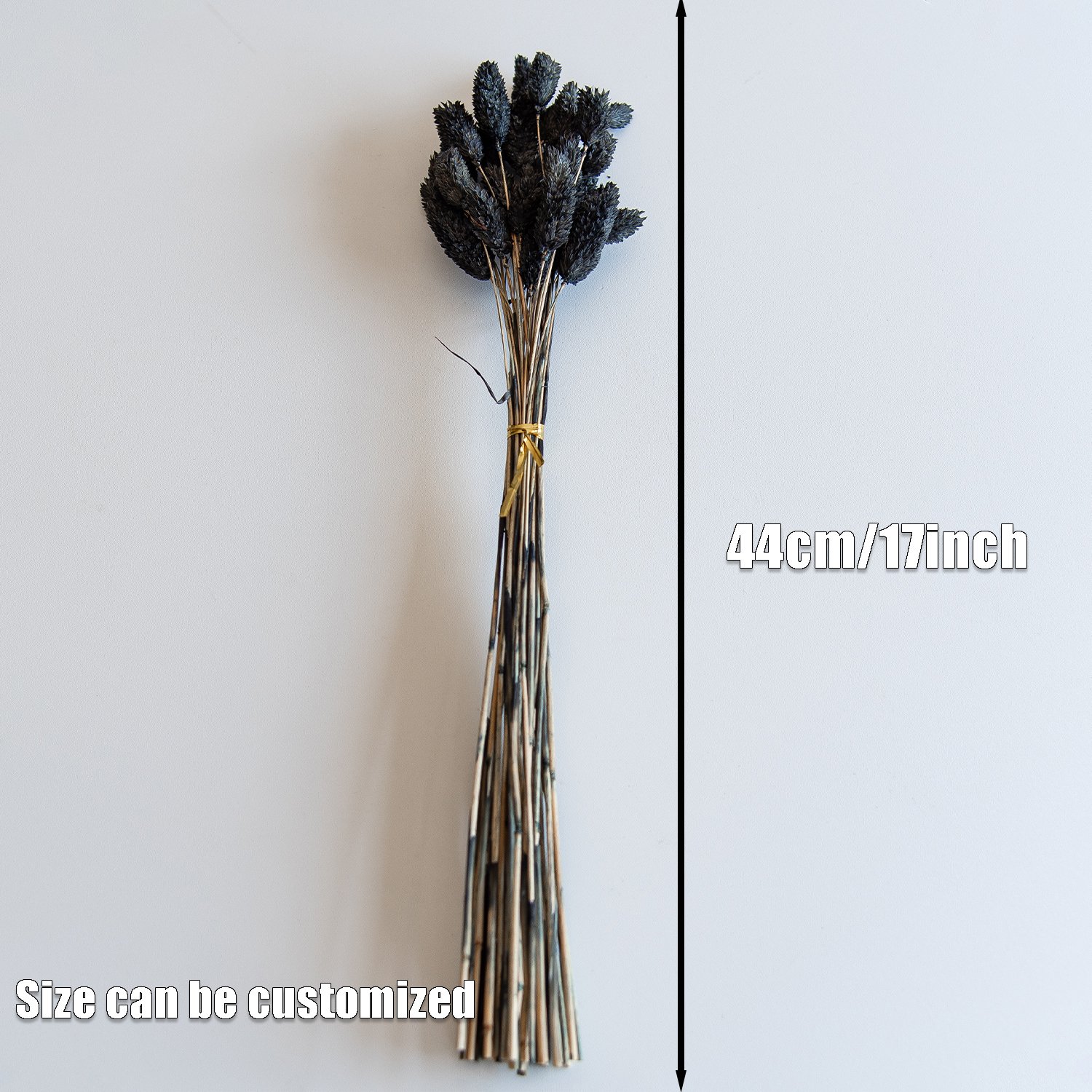 wholesale black Natual Dried Phalaris Flower Small Dried Gem Grass Phalaris Grass
