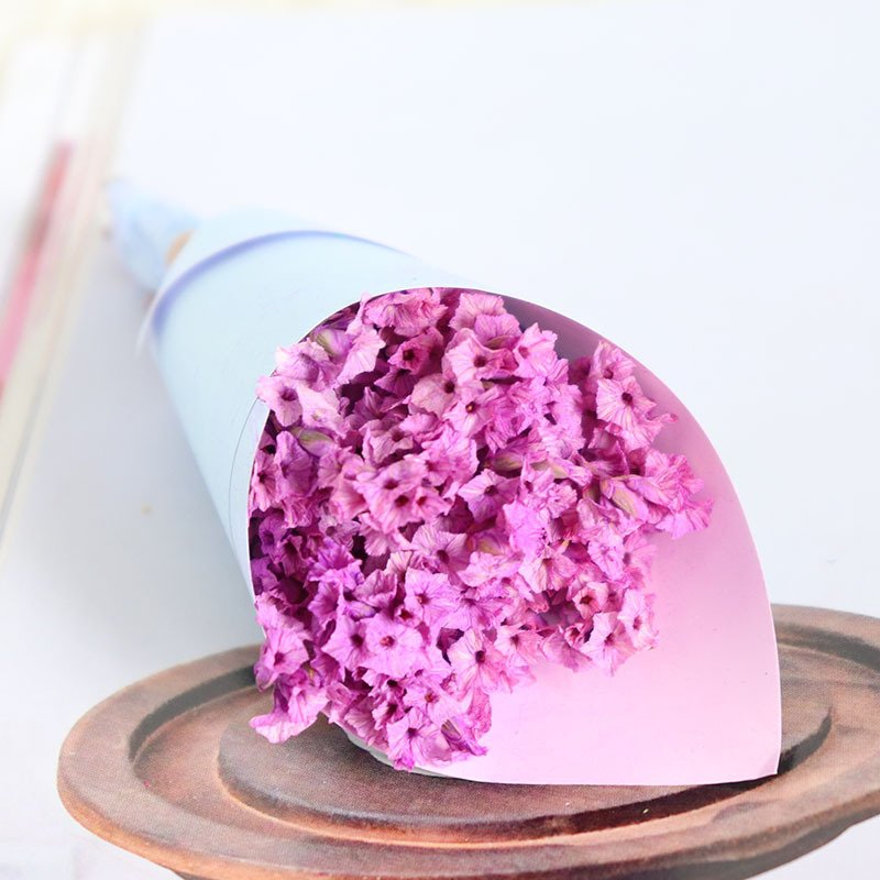 Preserved Dry Flower Mini Dried Flower Bouquet For Decoration Crystal Grass Natural 50 Mother's Day Original Decorative Flower