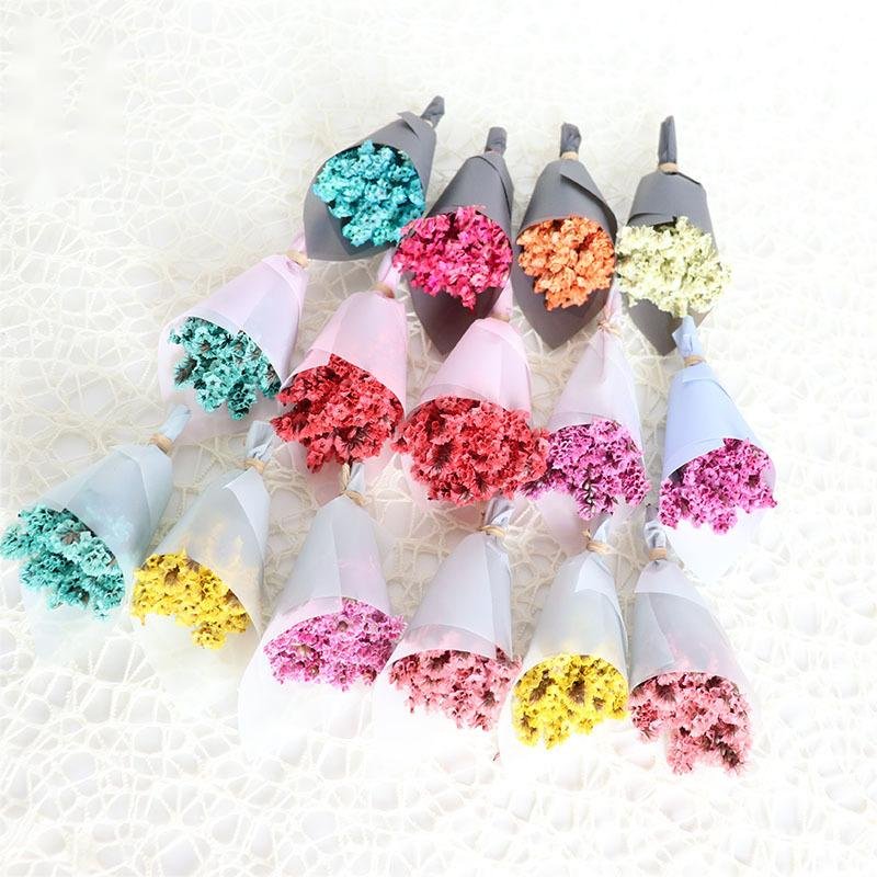 Preserved Dry Flower Mini Dried Flower Bouquet For Decoration Crystal Grass Natural 50 Mother's Day Original Decorative Flower