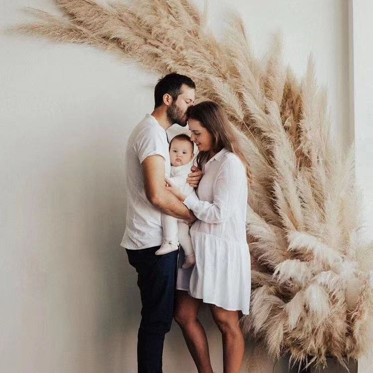 Luxury Reed Pampas Grass Preserved Flowers Dried Flowers for Festival Decoration