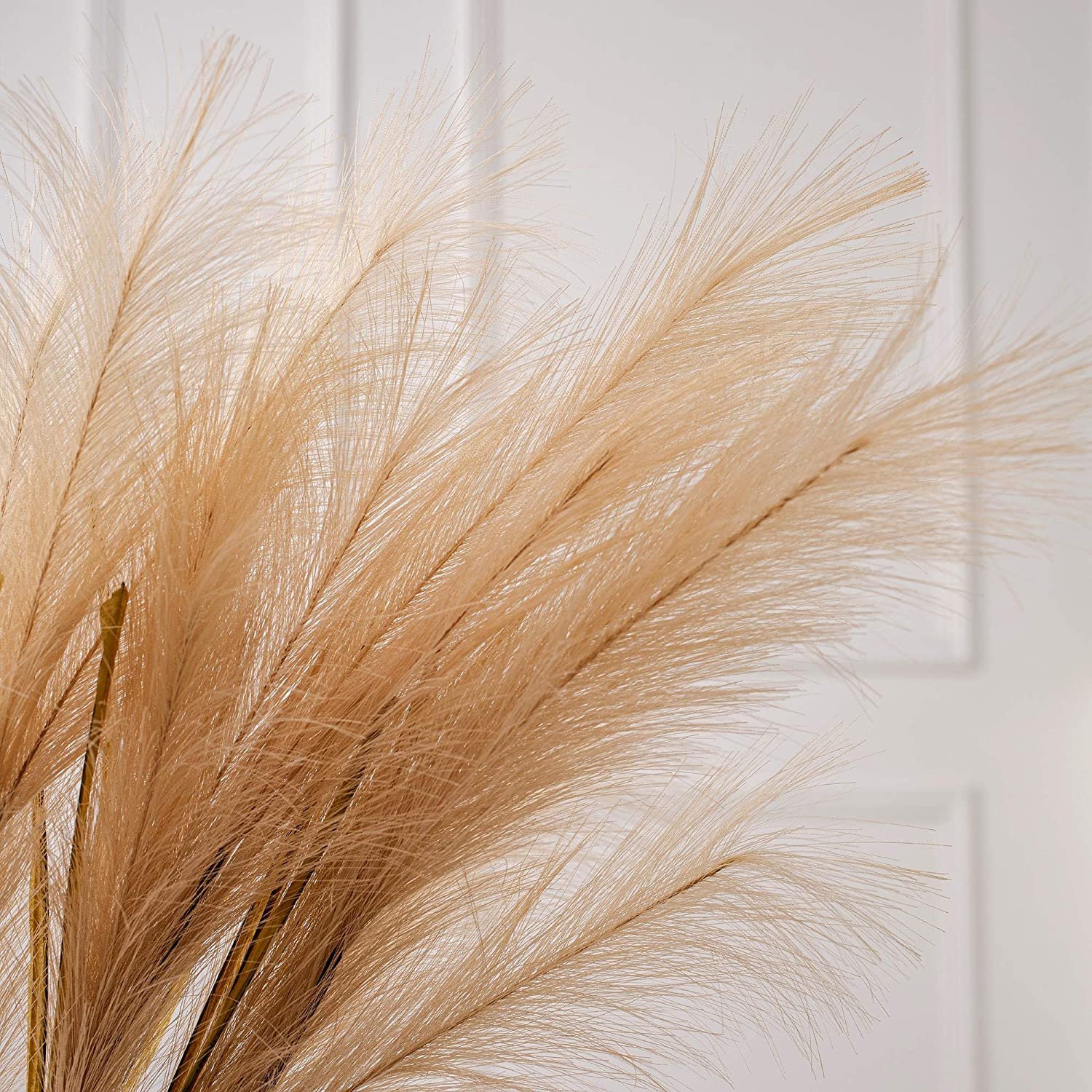 Luxury Reed Pampas Grass Preserved Flowers Dried Flowers for Festival Decoration