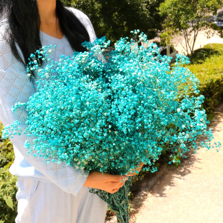 GH-6 Customized red top seller high quality gypsophila decorative flowers bouquet baby breath home decor