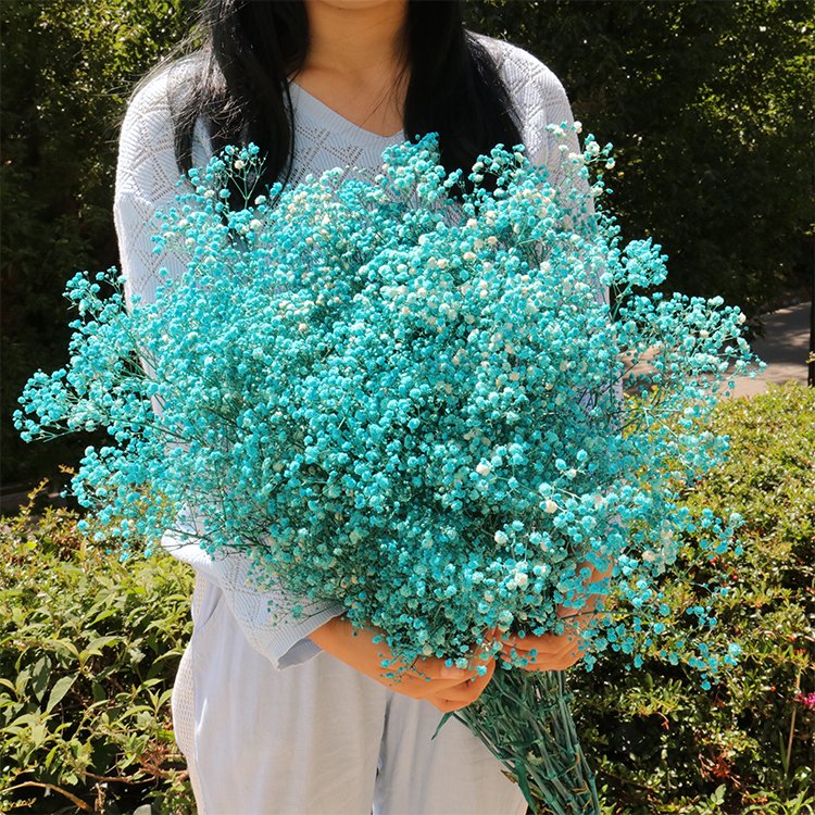 GH-6 Customized red top seller high quality gypsophila decorative flowers bouquet baby breath home decor