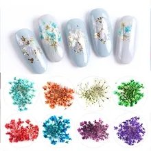 1 Box 24pcs Dried Flowers for Nail Art 12 Colors Dry Flowers Mini Real Natural Flower Nail 3D Applique Nail Decoration Sticker