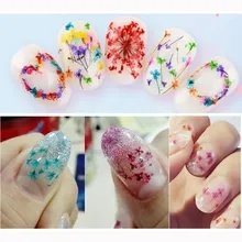 1 Box 24pcs Dried Flowers for Nail Art 12 Colors Dry Flowers Mini Real Natural Flower Nail 3D Applique Nail Decoration Sticker