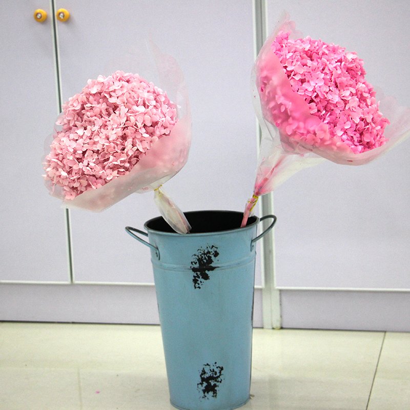 factory price wholesale natural dried flowers preserved hydrangeas white