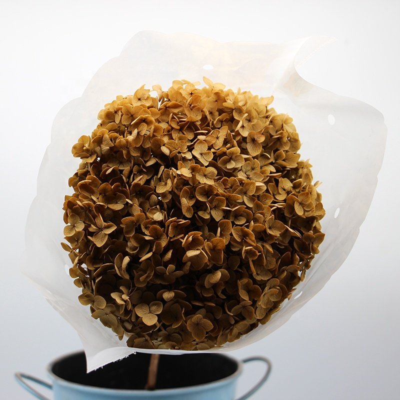 factory price wholesale natural dried flowers preserved hydrangeas white